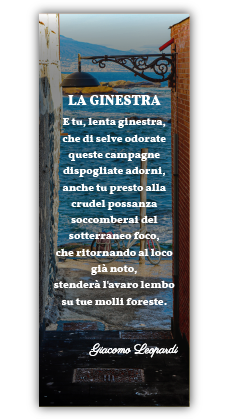 6,5x17 cm (Larghezza x Altezza)